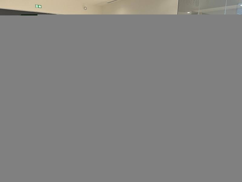 LEXUS UX d’occasion à vendre à LATTES chez ADL (Photo 15)